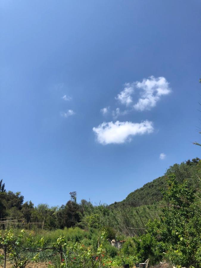 Villa Vasiliki Vitalades Luaran gambar